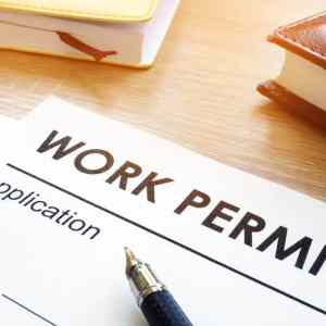 Start-Up Visa_Application For a Work Permit (Optional)